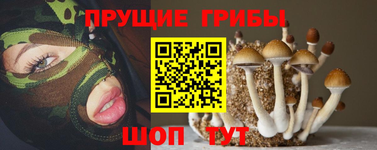Галлюциногенные грибы MAGIC MUSHROOMS Спасск-Дальний