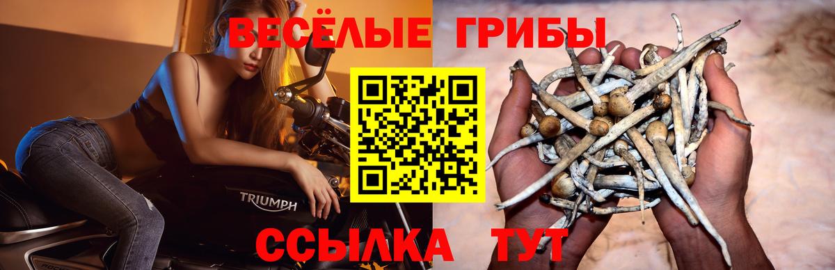 Спасск-Дальний  Галлюциногенные грибы мицелий  Вход с VPN  сколько стоит  Галлюциногенные грибы мицелий 